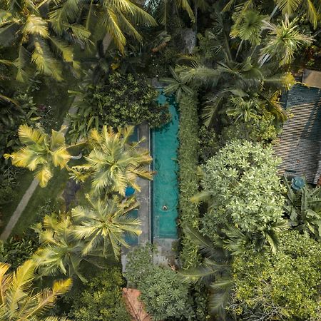 Dreamtime Hotel Hikkaduwa Luaran gambar