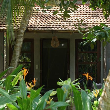 Dreamtime Hotel Hikkaduwa Luaran gambar