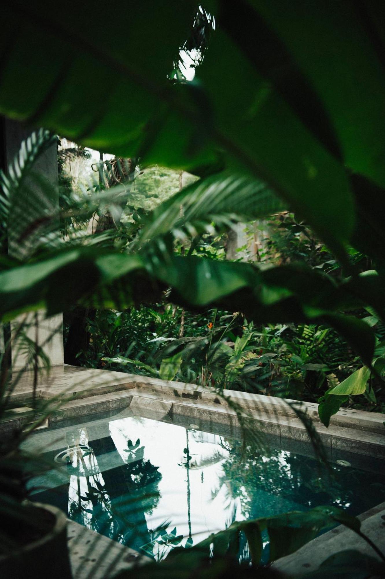 Dreamtime Hotel Hikkaduwa Luaran gambar