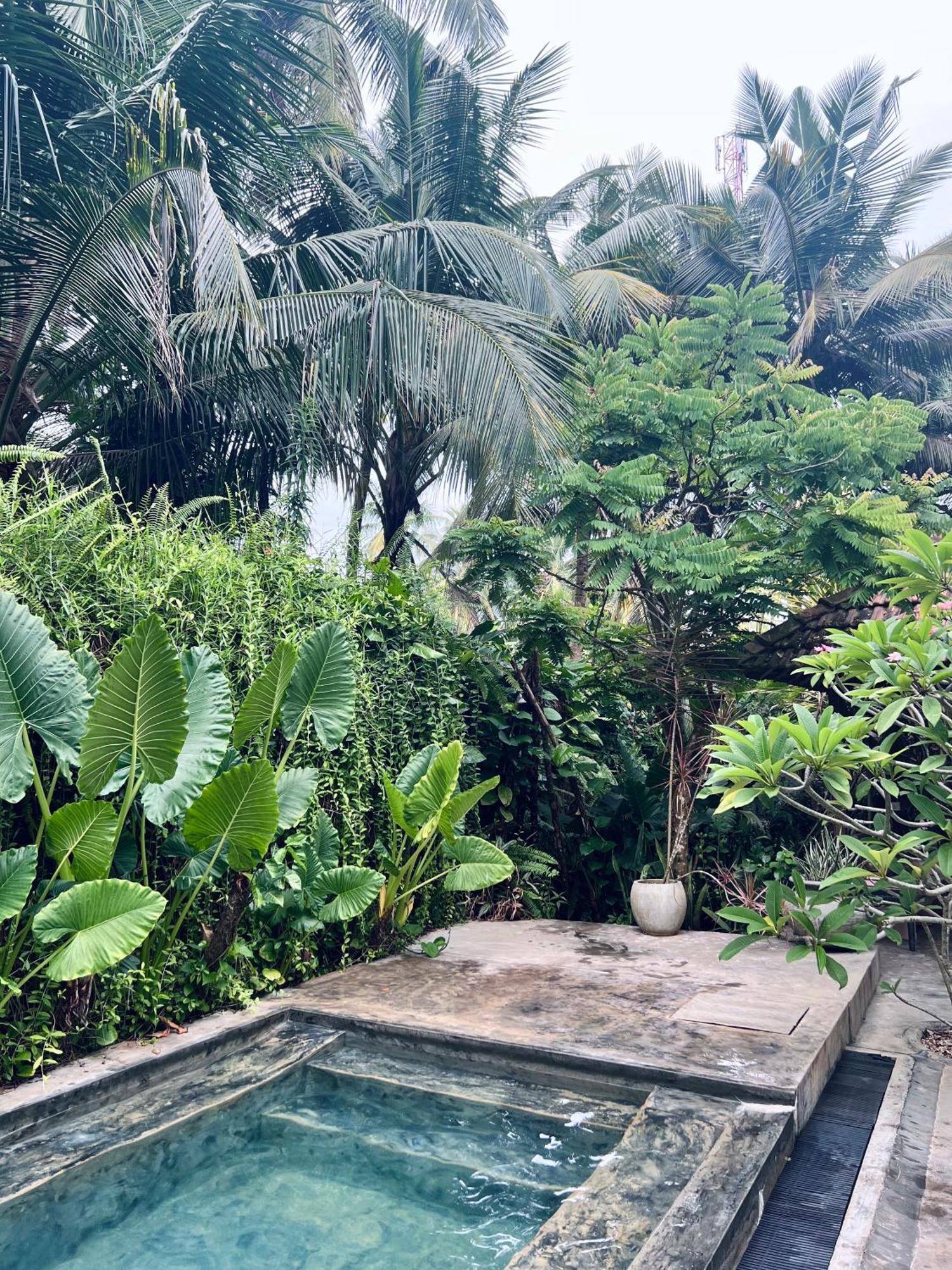 Dreamtime Hotel Hikkaduwa Luaran gambar