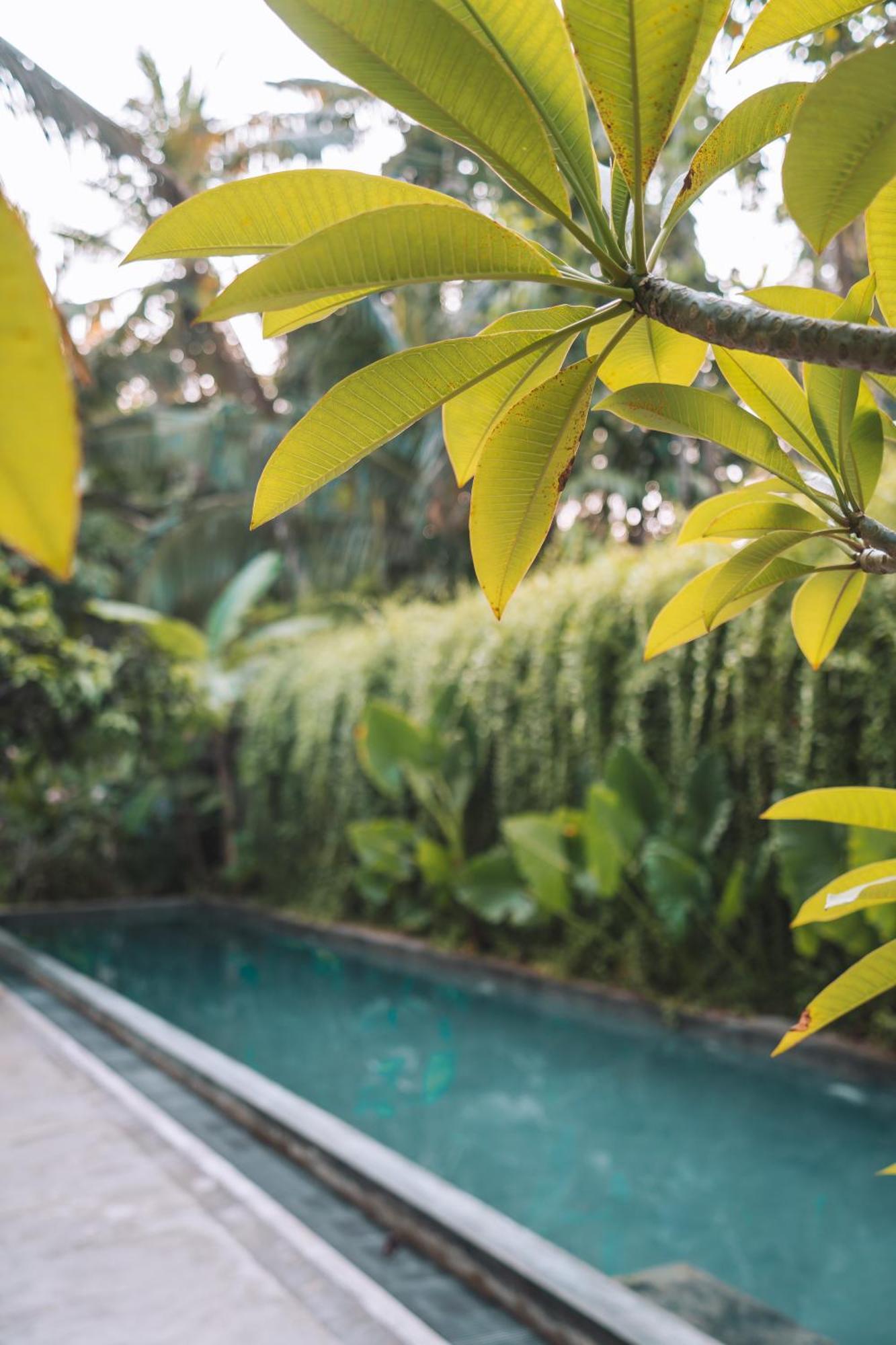 Dreamtime Hotel Hikkaduwa Luaran gambar