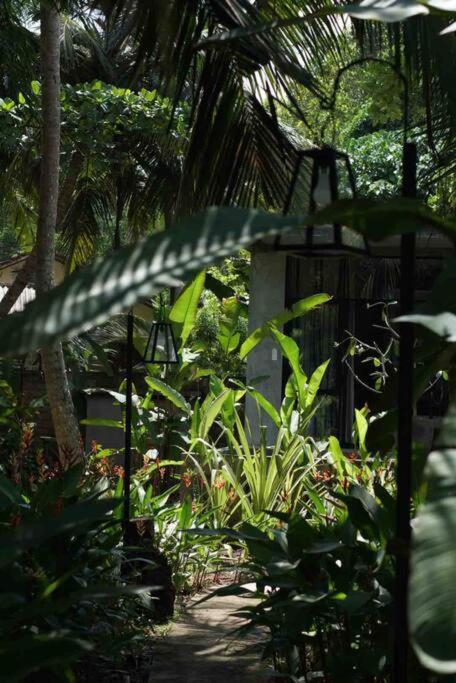 Dreamtime Hotel Hikkaduwa Luaran gambar