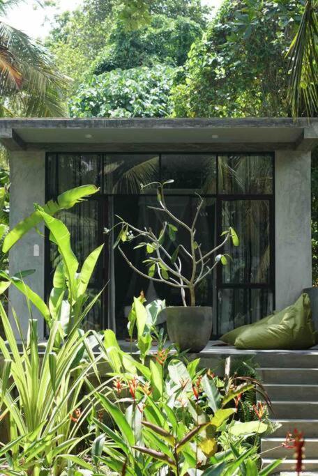 Dreamtime Hotel Hikkaduwa Luaran gambar