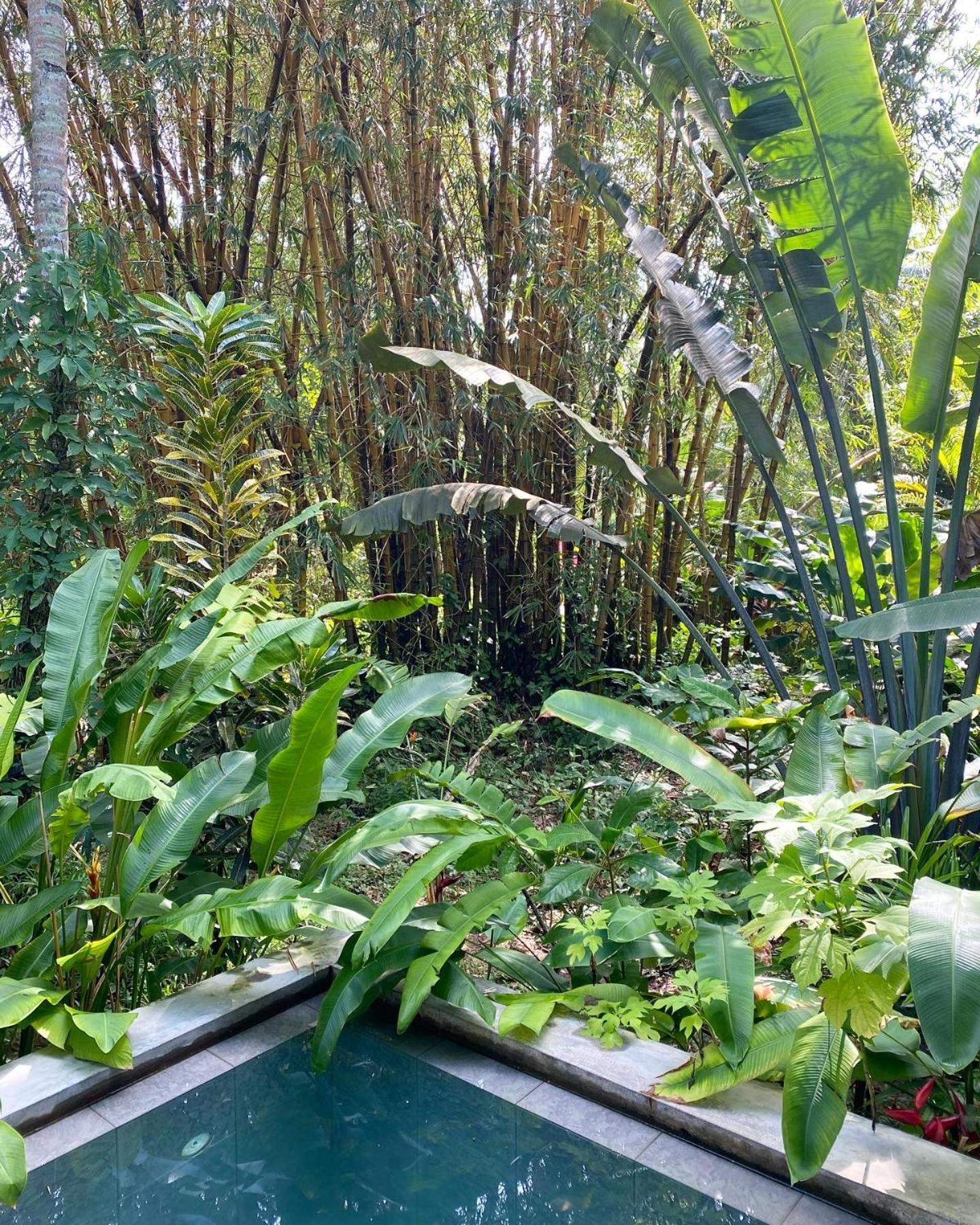 Dreamtime Hotel Hikkaduwa Luaran gambar