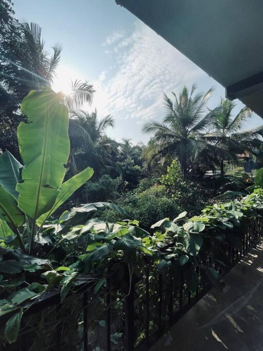 Dreamtime Hotel Hikkaduwa Luaran gambar