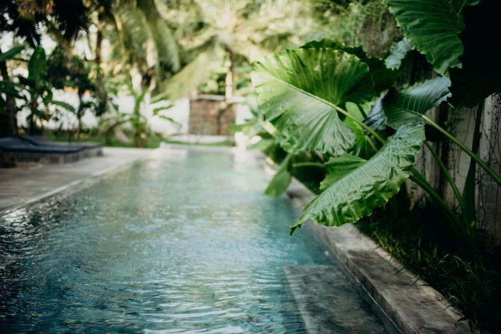 Dreamtime Hotel Hikkaduwa Luaran gambar
